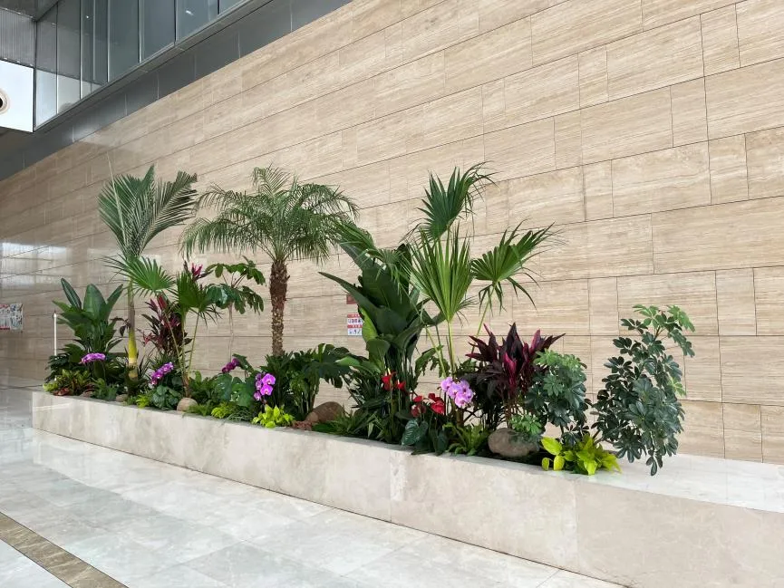 深挖宁波慈溪花卉租摆价格，你准备好了吗？